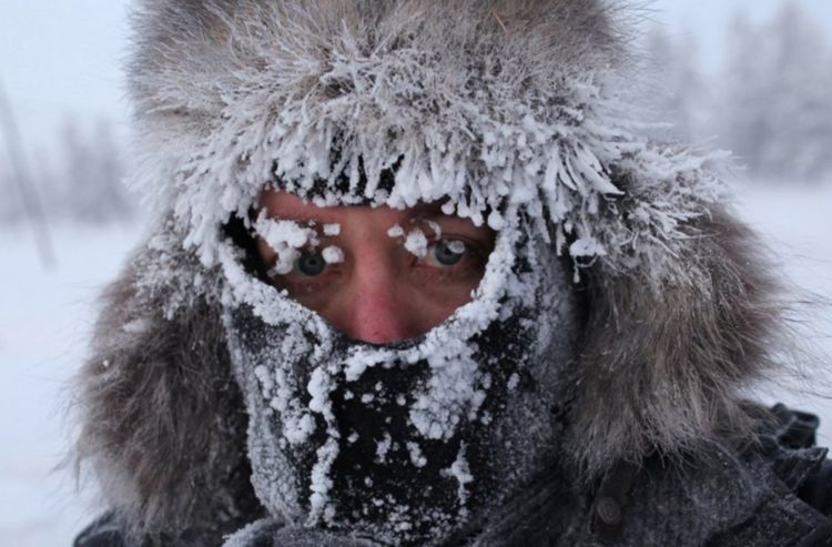 俄罗斯冬天最低零下七十一度,连熊都扛不住,他们是怎么过冬的