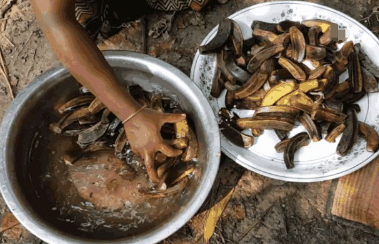 印度一种美食,在中国却被当垃圾,网友:真是一个神奇国度!