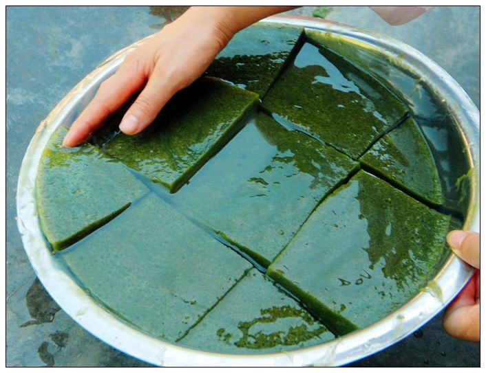 大爷做"仙人豆腐",加了这把"野草",不仅味道好,还清热解毒