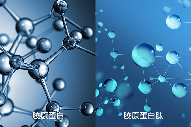 晨氏chernsys探索0添加的胶原蛋白抢占营养保健品c位