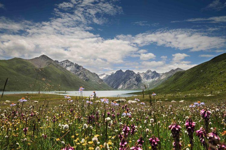 隐匿在藏东地区的处女地, 低调人少, 你去过吗?