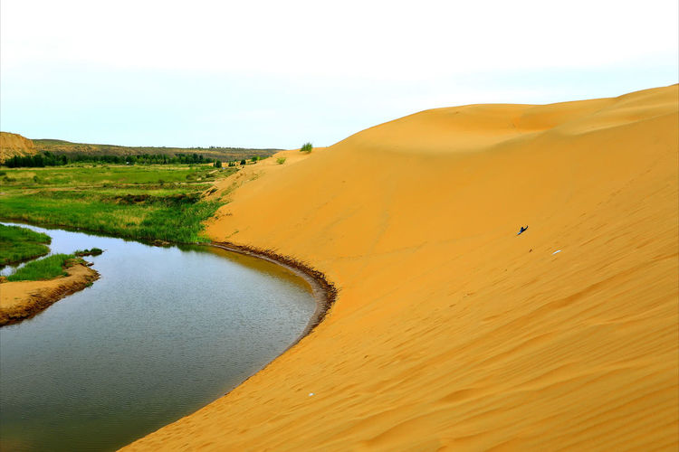 中国最大的沙漠绿洲图片