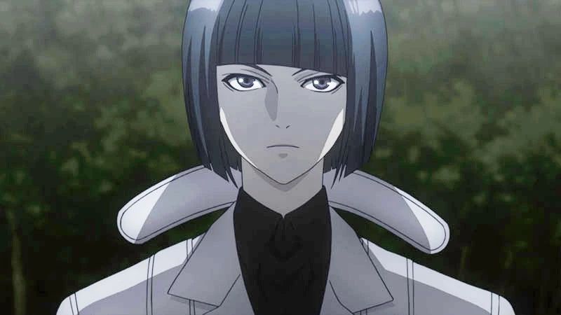 最后这位是宇井郡,特等搜查官,在流岛战役中担任三番队队长.