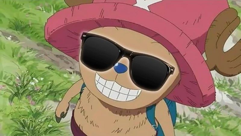 海贼王当草帽一伙戴上墨镜后娜美很调皮索隆相当帅气