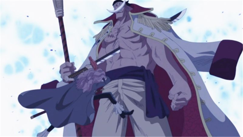 海贼王当年捅伤白胡子的叛徒大涡蜘蛛实力公布不在艾斯之下