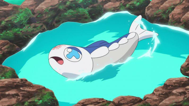 防御种族值最低的四只神奇宝贝, 其中一只是可以吊打裂空座的神兽