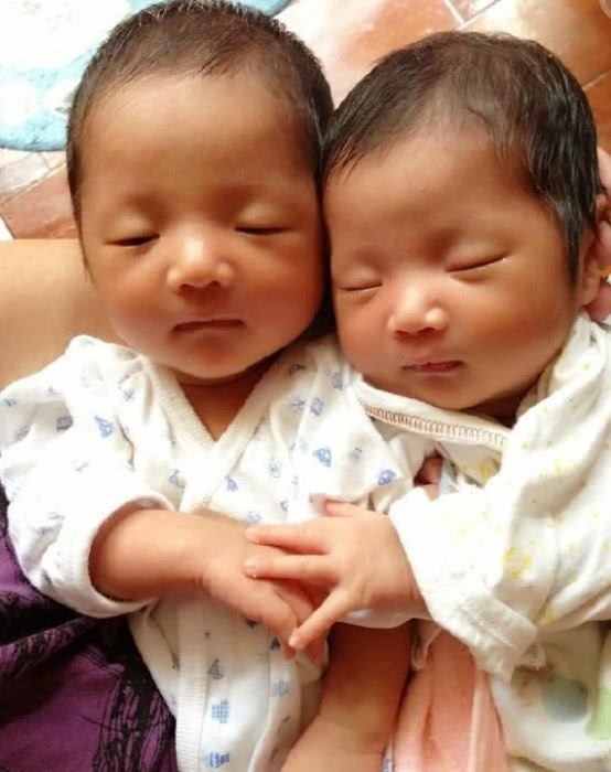 谢娜双胞胎宝宝图片图片