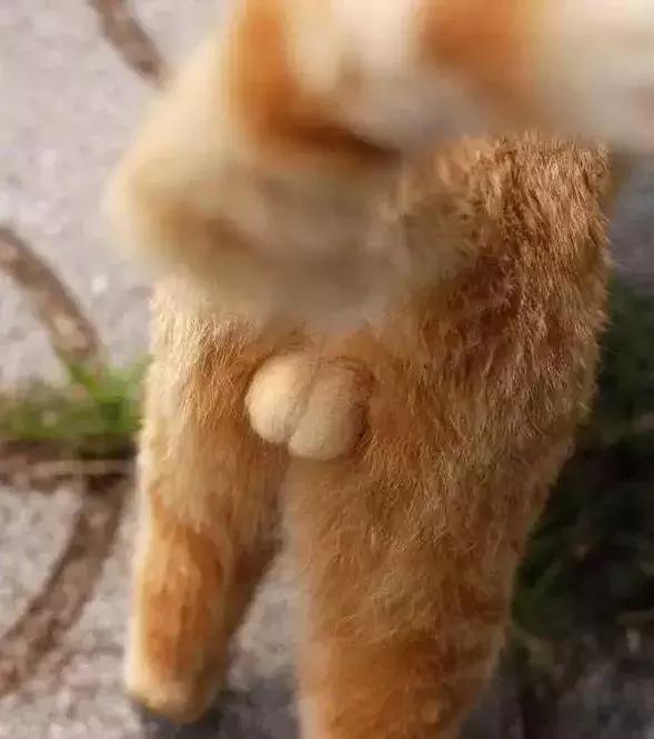 超可爱屁屁赏析特辑