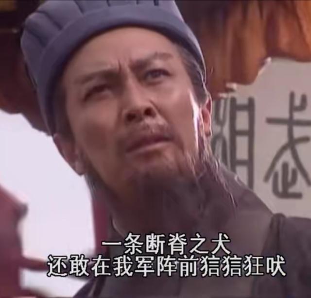 环眼贼张飞,大耳贼刘备,诸葛村夫?三国里那些侮辱人的外号