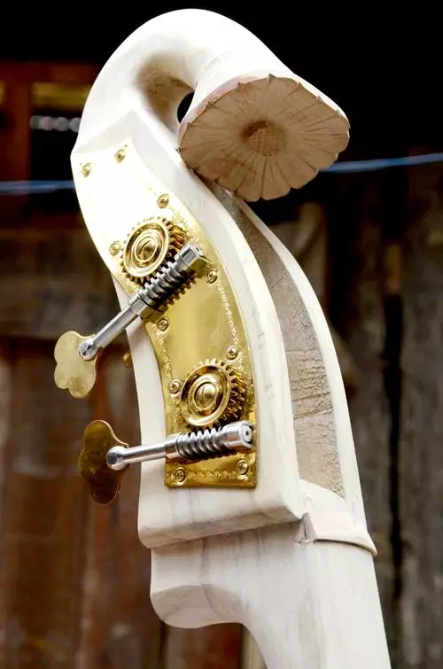 黔东南侗族牛腿琴的来源和原理