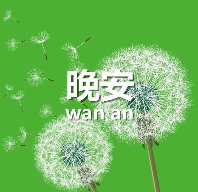 晚安暖心的问候语 晚上发朋友圈的图片配字|短信息|睡吧|梦乡_新浪