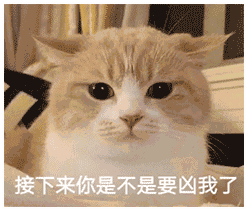 男朋友和女朋友吵架的表情包你这个无情无义又无理取闹的女人