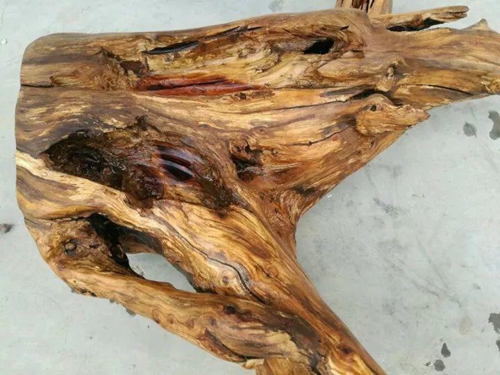 爷爷捡回来的老树根填点土种点肉就是一个小景观