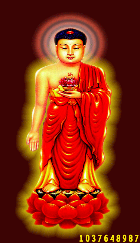 463_799竖版 竖屏gif 动态图 动图