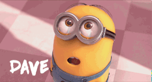 300_163gif 动态图 动图