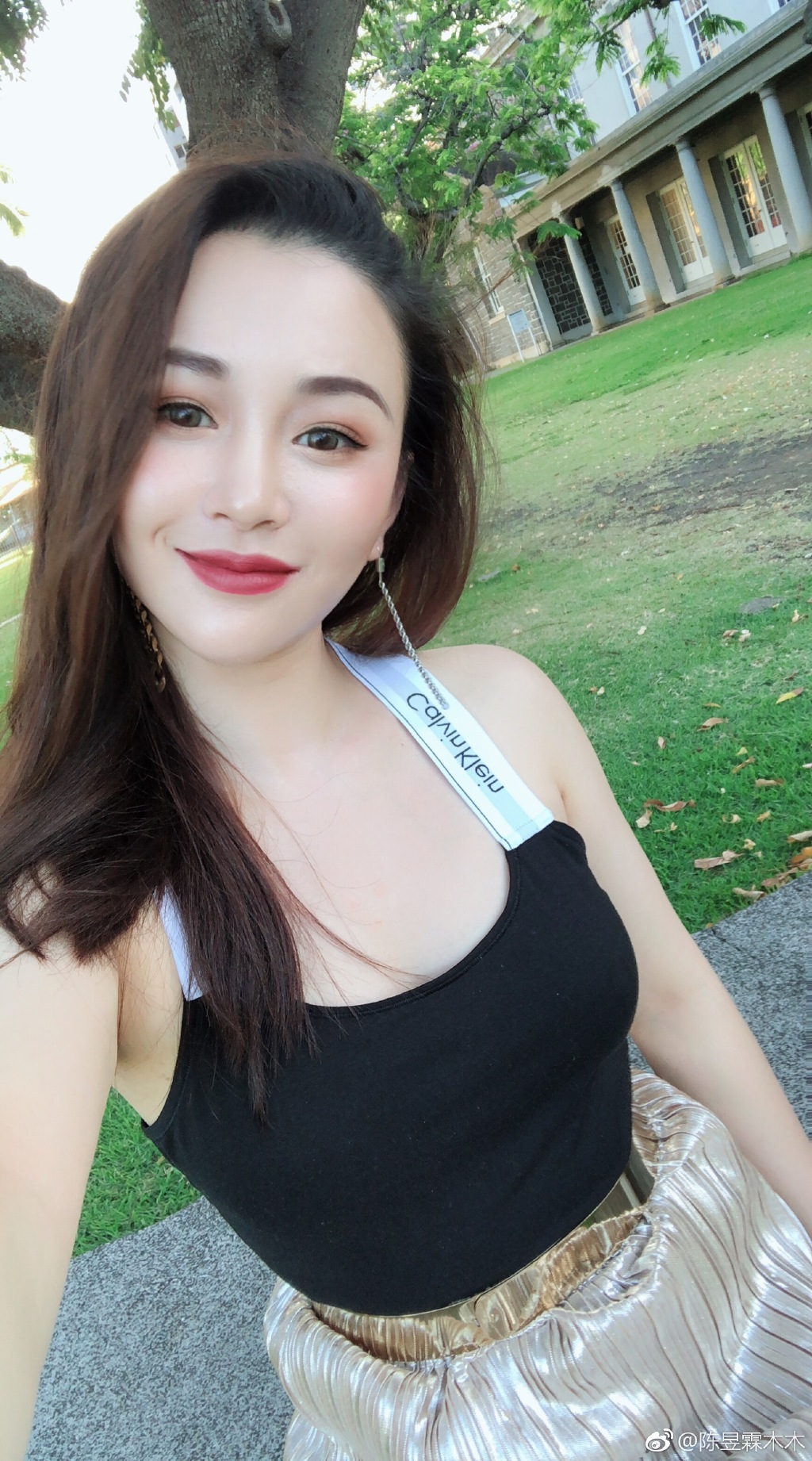 吴秀波陈昱霖案出现最新进展,陈母透露案件侦