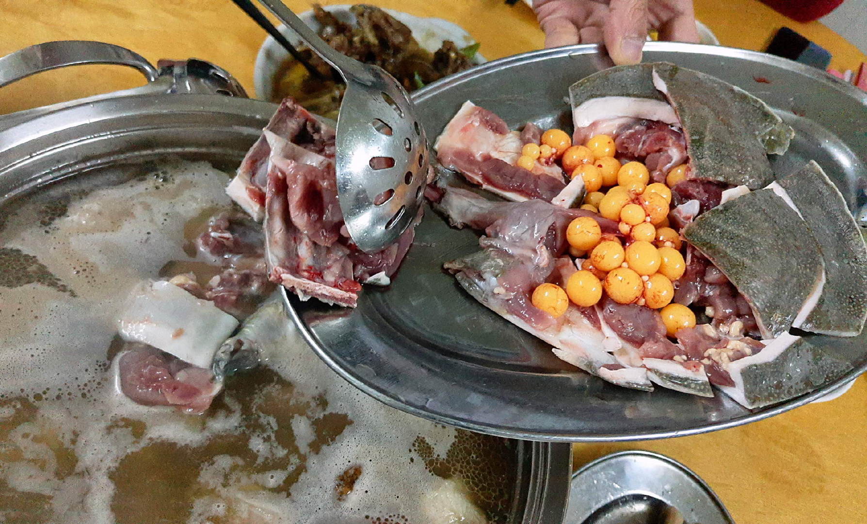 竹鼠,水鱼,阳山鸡,与华农兄弟争锋