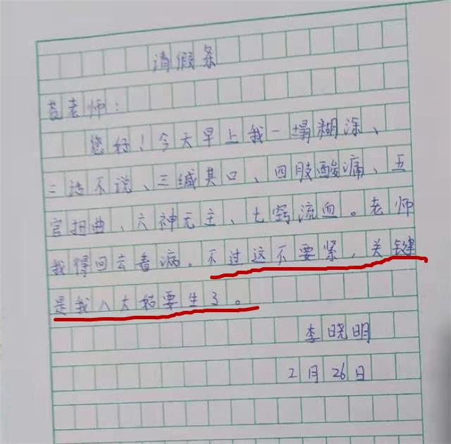 能可贵的是还只是一名小学二年级的学生,能写出这片文采斐然的请假条