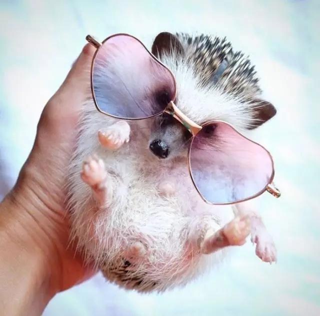 春困,夏倦,秋乏,冬眠,四季如梦