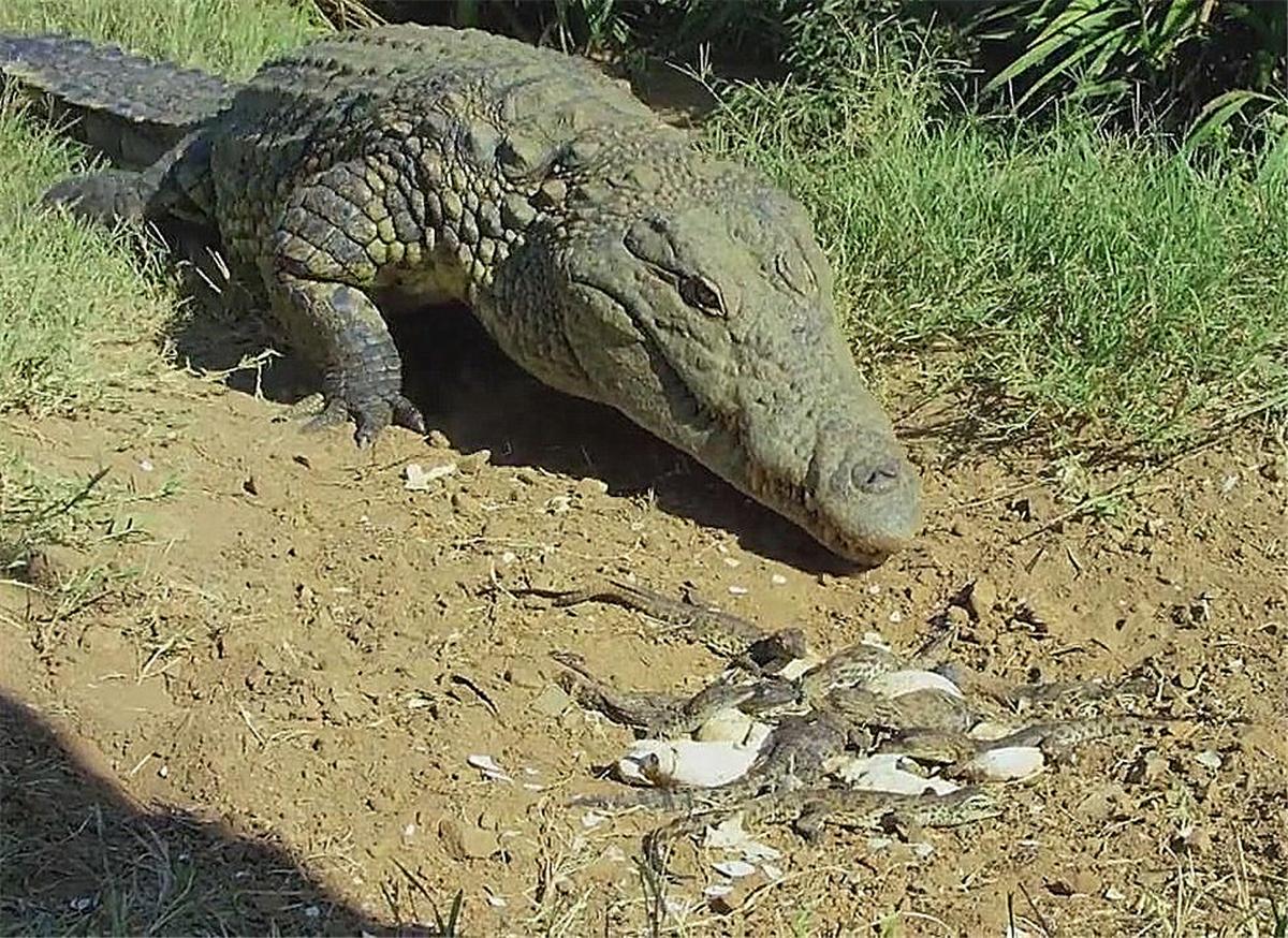 江西吉安叛逆孩子的检讨