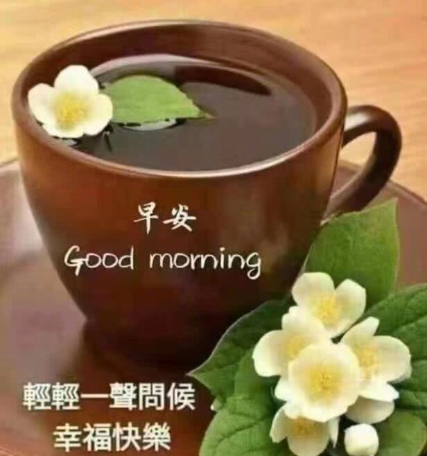 茶中飘着一朵花,下面写着:早安,轻轻一声问候就是幸福快乐