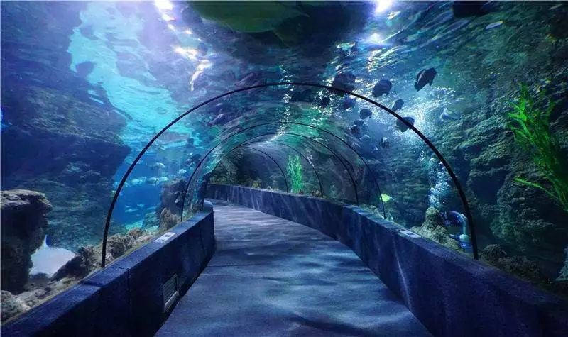 "去买票"神助攻 亳州海洋馆升级智慧景区