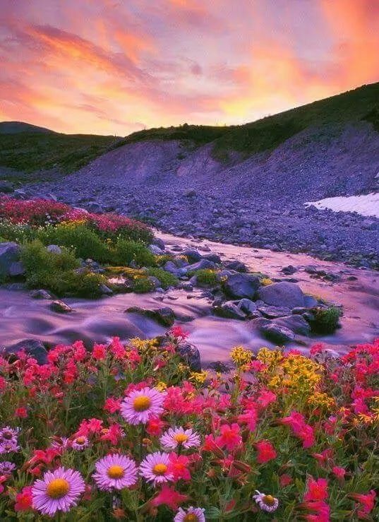 绝世美景养眼又养心