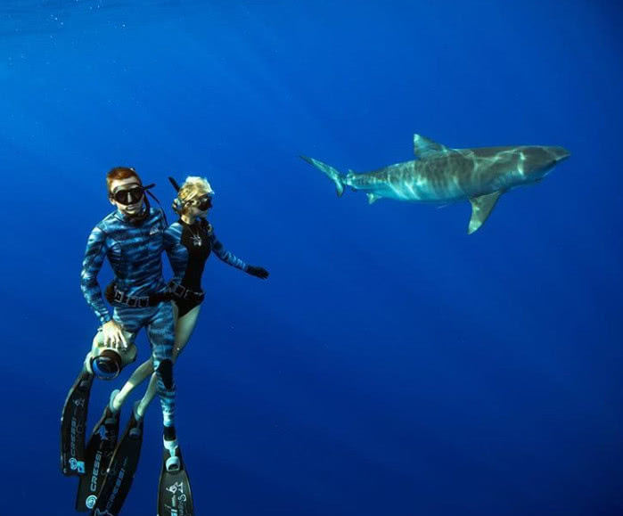 美女潜水员与夏威夷最大白鲨共游,举止亲密上演人鲨绝美画面