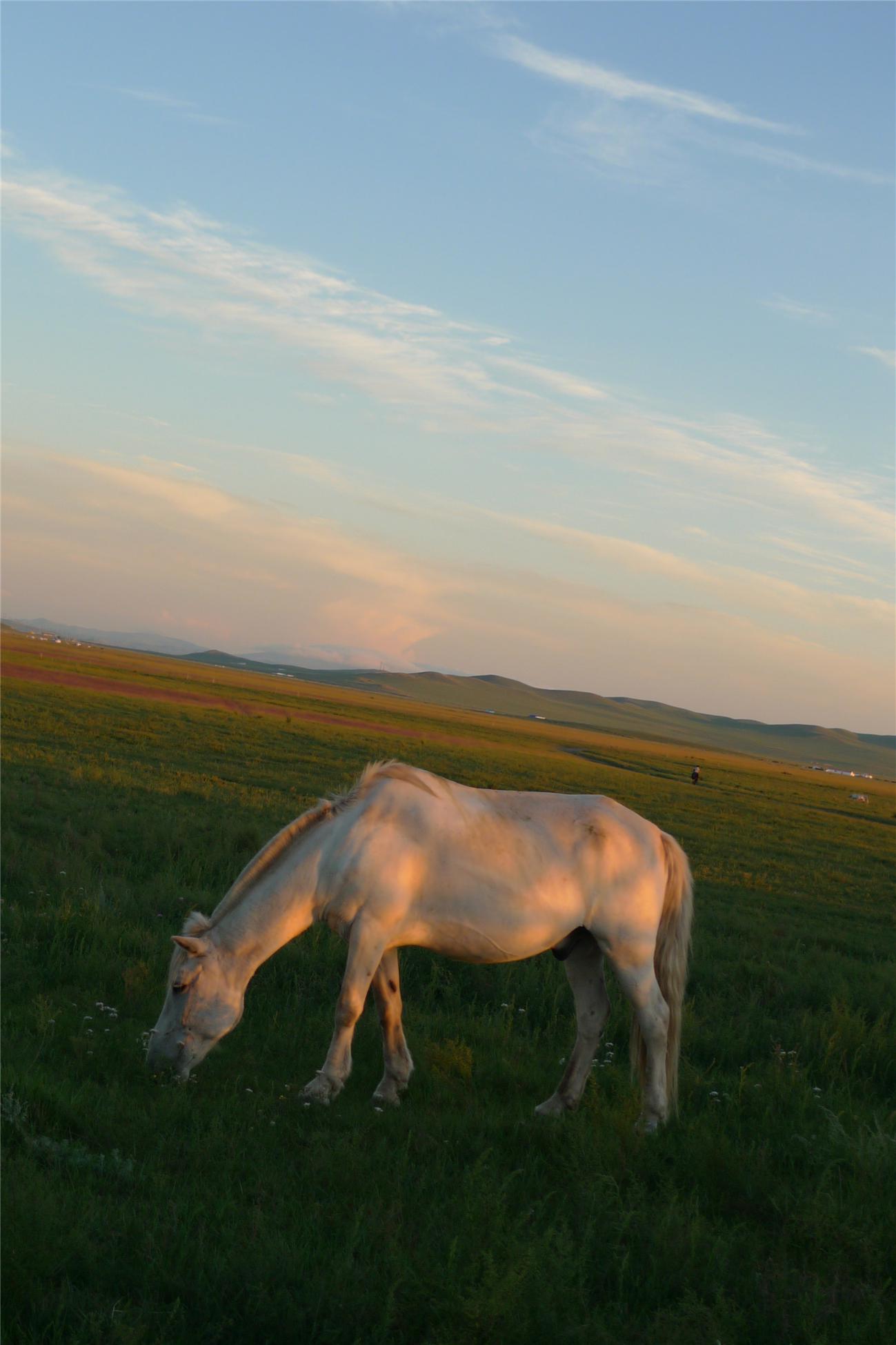 属相马的朋友4月吉星照射,因此好运影响,有望改动较长一段时间工作运