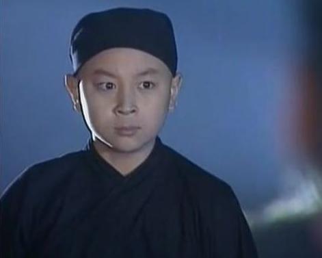 出演了《少年包青天》,《乌龙闯情关》 ,《少年黄飞鸿》,《水月洞天》