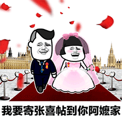 抖音表情包——我要送你99朵玫瑰花