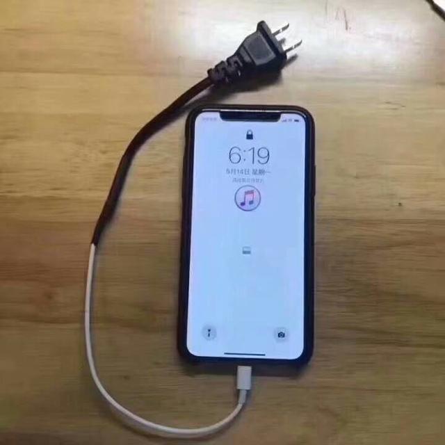 搞笑图集单身久了看一只狗都感觉眉清目秀