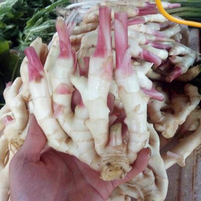 菜市场买仔姜这样选,鲜嫩无添加剂,泡出的仔姜老人都拍手叫好