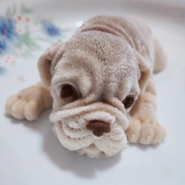 网红沙皮狗的秘密你知道吗?