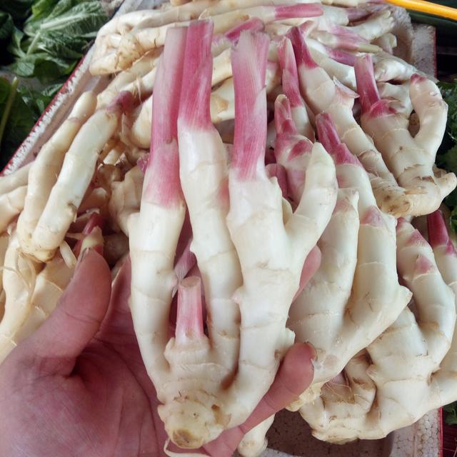 菜市场买仔姜这样选,鲜嫩无添加剂,泡出的仔姜老人都拍手叫好