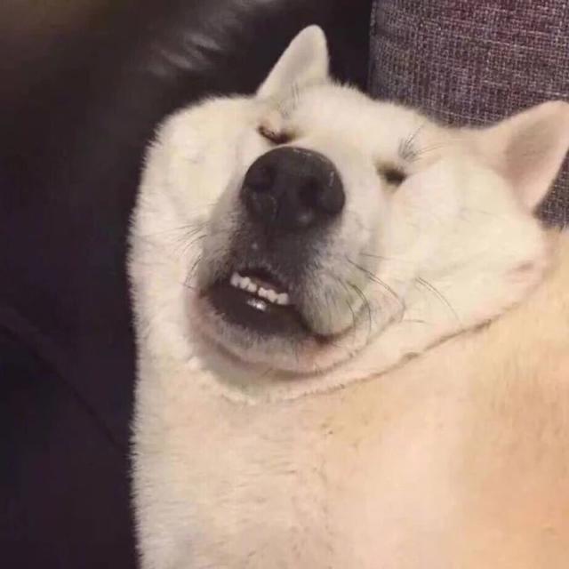 风格另类的搞笑头像,了解一下?