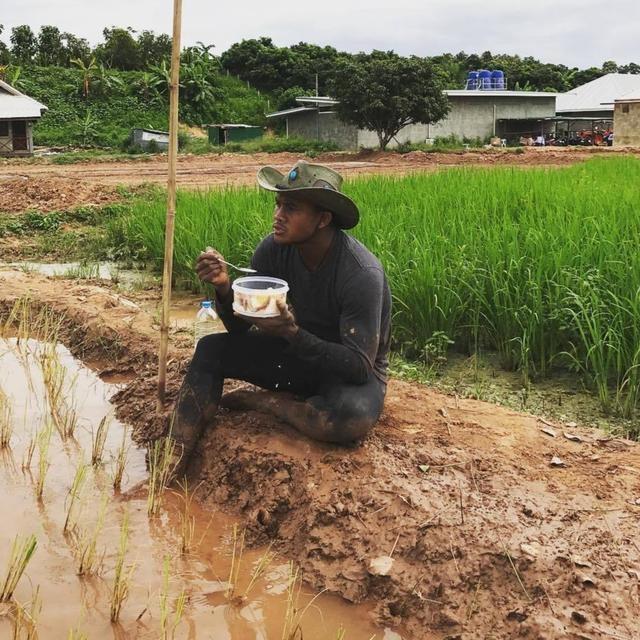 最低调的泰拳王播求身价过亿却依然下田插秧甘愿当农民