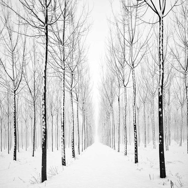 宁静致远的黑白风景!