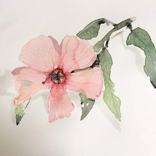 第一次见用水彩画花画成这样的简单美观