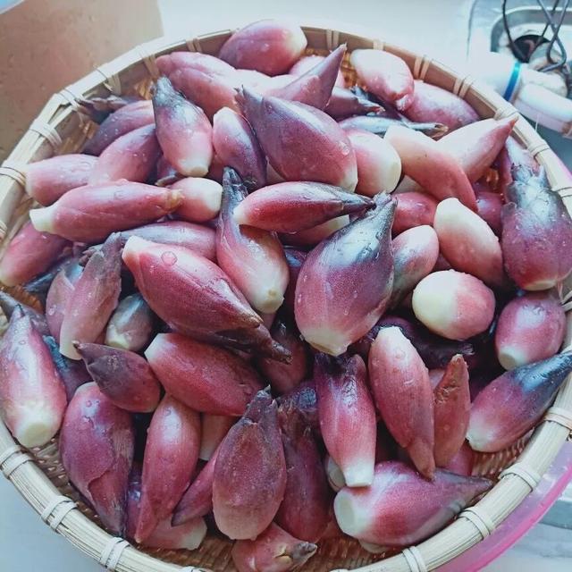 亚洲人参洋火姜农村少有的美味你吃过吗