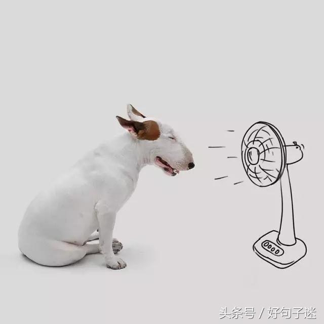 最逗比最搞笑的签名句子,句句诙谐幽默,拿去发朋友圈吧!