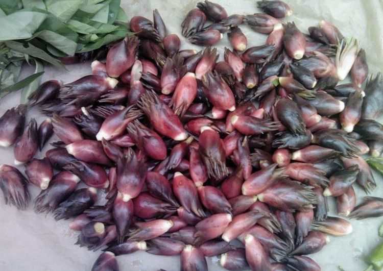 女人常吃此物子宫越来越干净远离妇科炎症可以试试