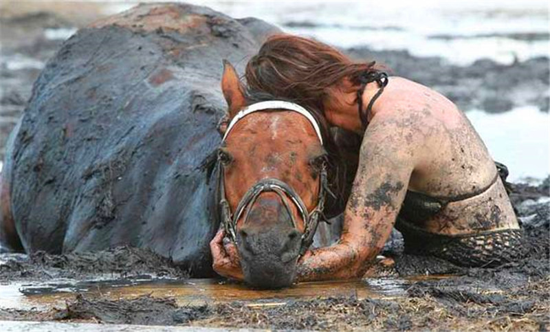骏马深陷泥潭,女子当场也跳了进去,之后的三个小时让人动容