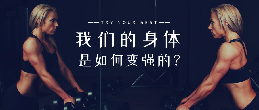 我们的身体是如何变强的？|超量|训练|屋子_新浪新闻