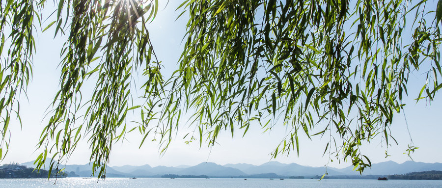 优化手淘seo教程