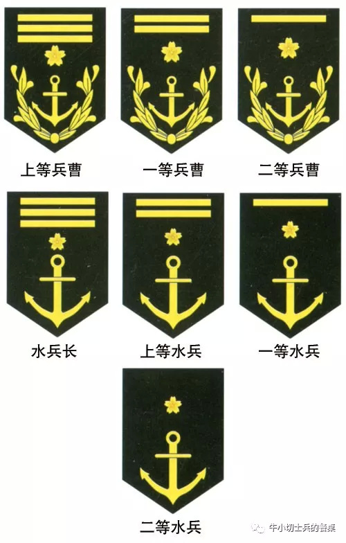 海军胸章军衔图解图片