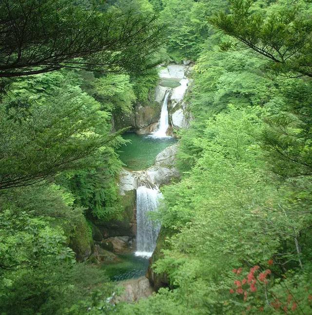 参观森林里的白州蒸馏厂,仿佛置身风景画