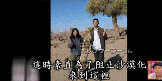 日本女人的真实生活