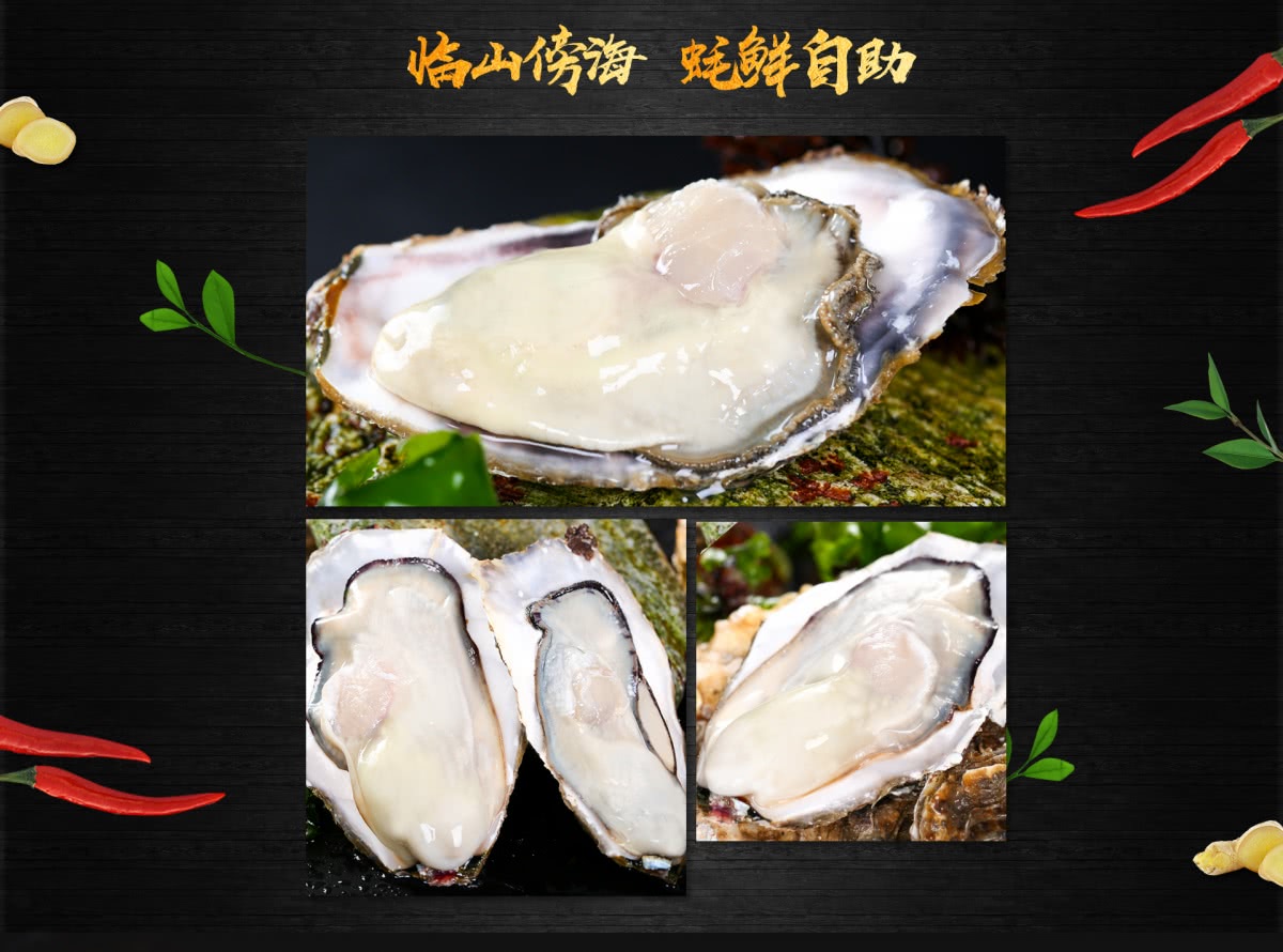 越冷越肥的乳山生蚝，一场空前的“蚝门盛宴”|乳山|牡蛎|蚝_新浪新闻
