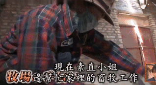 日本女人的真实生活